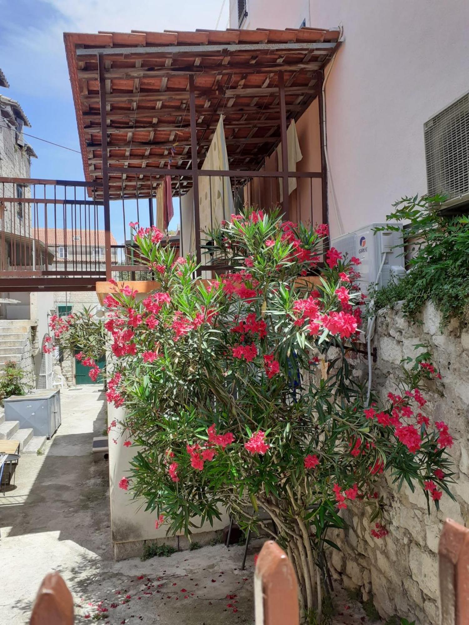 Oleander Apartments 斯普利特 外观 照片